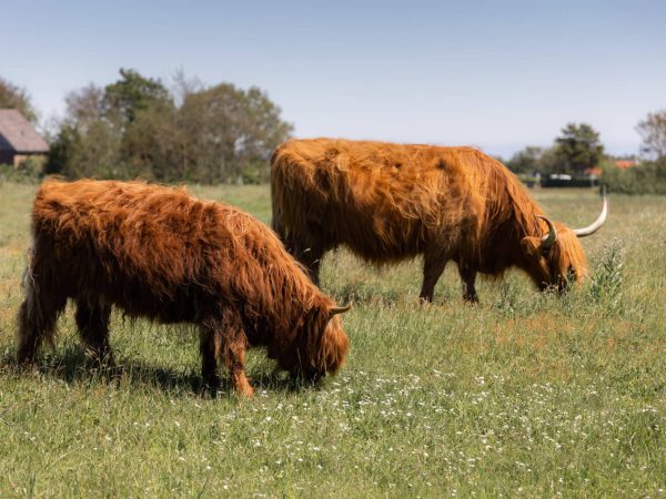 Vakantie in de natuur